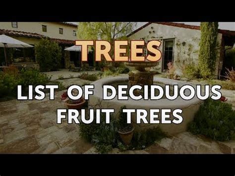 List of Deciduous Fruit Trees - YouTube