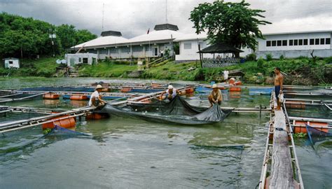 Aquaculture in the Philippines (Part 1)