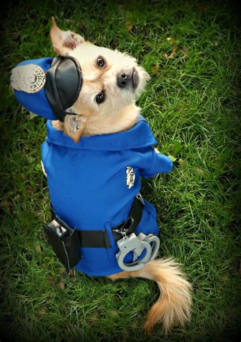 Police Dog Halloween Costume | BaxterBoo