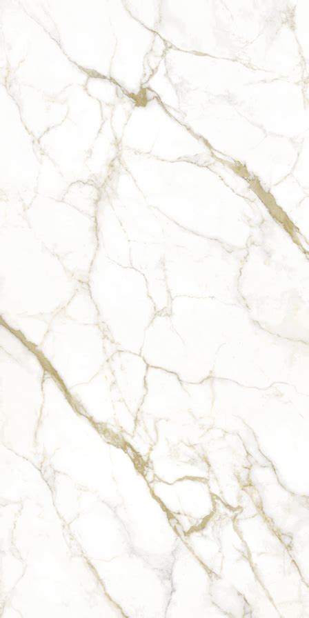 Calacatta Oro – Maxa Slabs