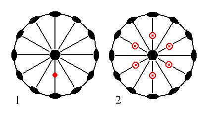 Hexagonal Crystal System I