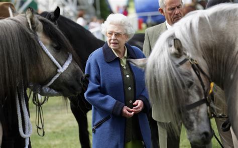 Queen Elizabeth Has Made More Than $9 Million on Horse Races | Observer