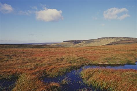 New rules for burning on protected blanket bog habitats – Defra in the ...