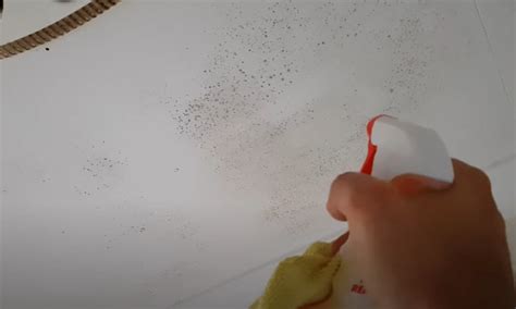 How to Remove Mold from Bathroom Ceiling? (Causes & Tips)