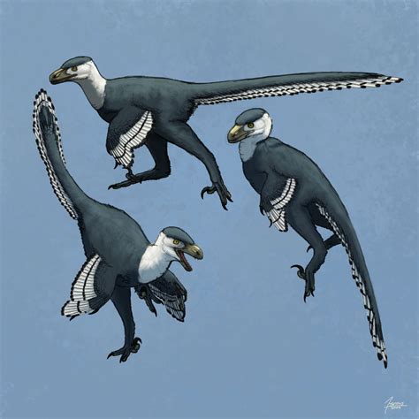 Dromaeosaurus by 7snows on DeviantArt