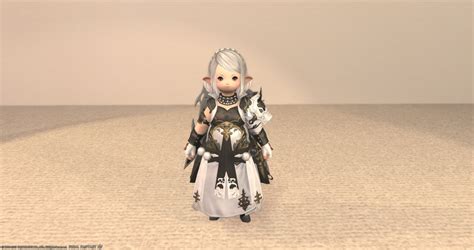 Tetehu Tehu Blog Entry `PALADIN Glamour Sets` | FINAL FANTASY XIV, The ...