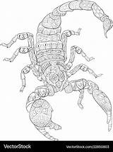 Scorpion Coloring Page sketch template