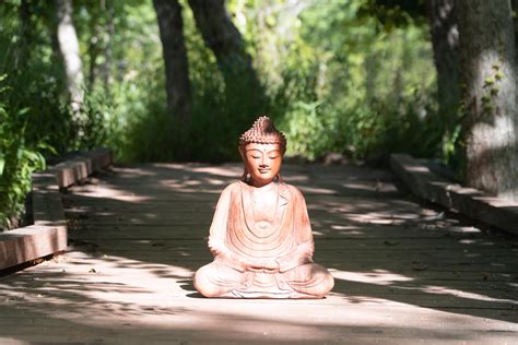 Some photos I took of the Buddha meditating in nature. : r/Buddhism