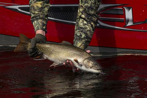 World Record Brook Trout | Superior Country