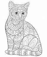 Coloring Pages For Cat sketch template