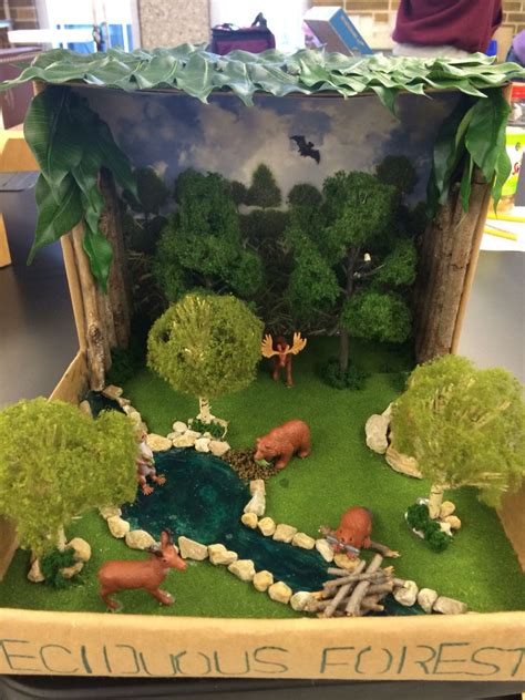 Deciduous Forest Biome Diorama for Kids