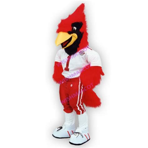 Arizona Cardinals Mascot Costume