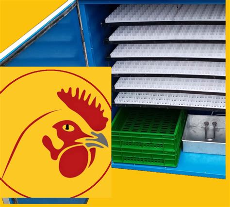 incubator 1056- eggs capacity chicken incubator and hatchery incubators hatching eggs 88-1056 ...