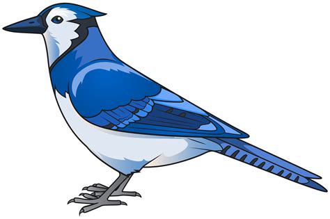 Blue Bird Bird Clipart Pngcartoon Bird Png Free Transparent Png ...