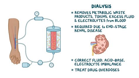 Dialysis - Osmosis Video Library