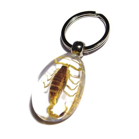 real insect amber jewelry key chain By Han Crafts Co.Ltd, China