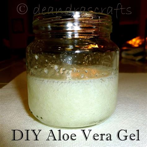 DIY Aloe Vera Gel : 4 Steps (with Pictures) - Instructables