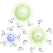 The combined effect of cations and anions on the dynamics of water ...