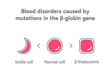 Hemoglobinopathies | CRISPR Therapeutics