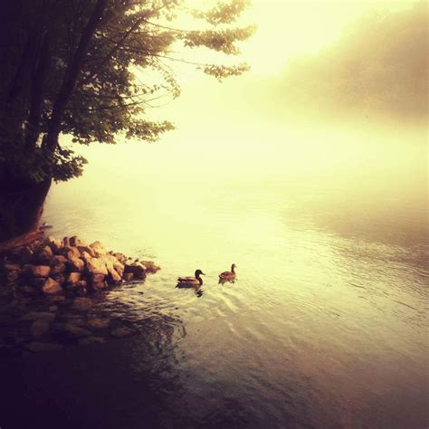 10 Tips For Taking Beautiful iPhone Photos In Mist & Fog