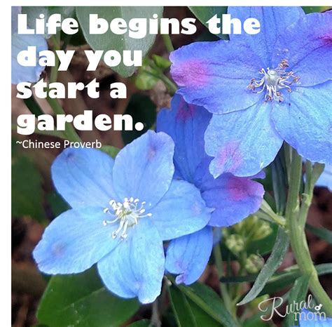 7 Gardening Quotes and Gorgeous Blooms to Inspire Your Spring Planting Rural Mom