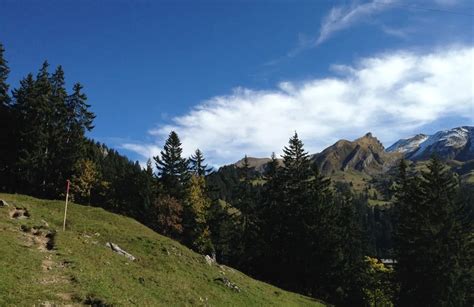 Wolfenschiessen: Die schönsten Routen zum Wandern | AllTrails