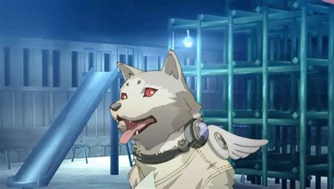 Persona 3 Portable: Strength Arcana Koromaru social link guide - Video Games on Sports Illustrated