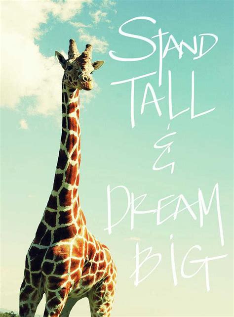 50 Inspiring Stand Tall Quotes