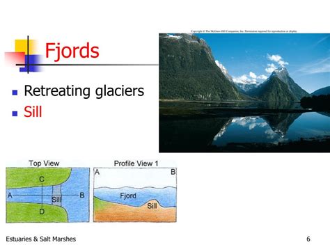 PPT - Estuaries and Salt Marshes PowerPoint Presentation, free download ...