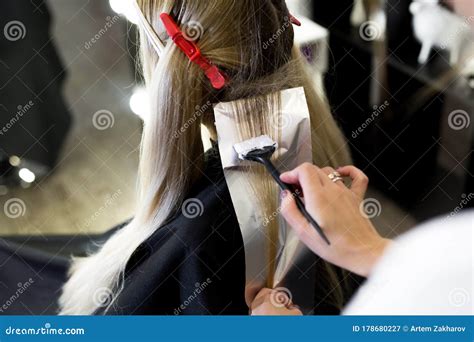 Process of Dyeing Hair at Beauty Salon. Stock Image - Image of brunette, client: 178680227