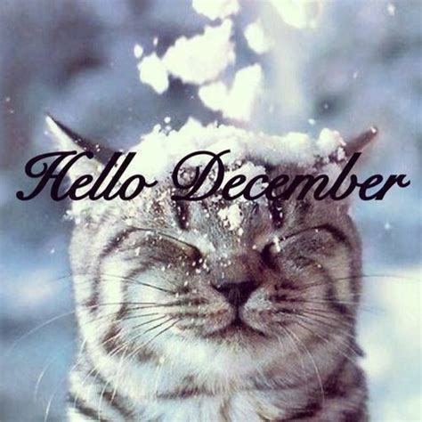 Good Morning December! You're here and I can see that you brought the really cold weather with ...