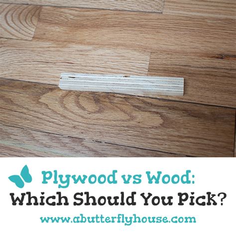 Plywood Vs. Wood: Which Should You Pick? - A Butterfly House