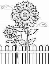 Fence Coloring Page sketch template