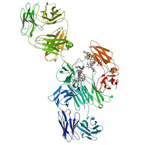 Adalimumab - Mechanism of action, uses side effects and interactions ...