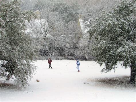 Winter_Storm_Uri_in_Austin,_Texas_01 - Austin MonitorAustin Monitor