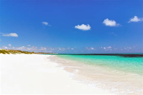 Something special in South Caicos | New York Amsterdam News: The new ...