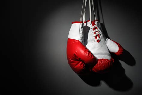 Free Boxing Gloves, Download Free Boxing Gloves png images, Free ...