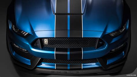 2016 Ford Mustang Shelby GT350R - Grill | HD Wallpaper #8 | 1920x1080