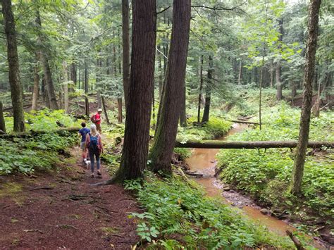 Hiking the North Country Trail along a creek deep within a forest at Porcupine Mountains State ...