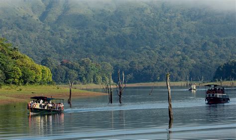 Thekkady Boating: Experience Tranquil Forest Lake Cruise