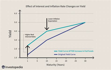 Understanding Treasury Yields and Interest Rates