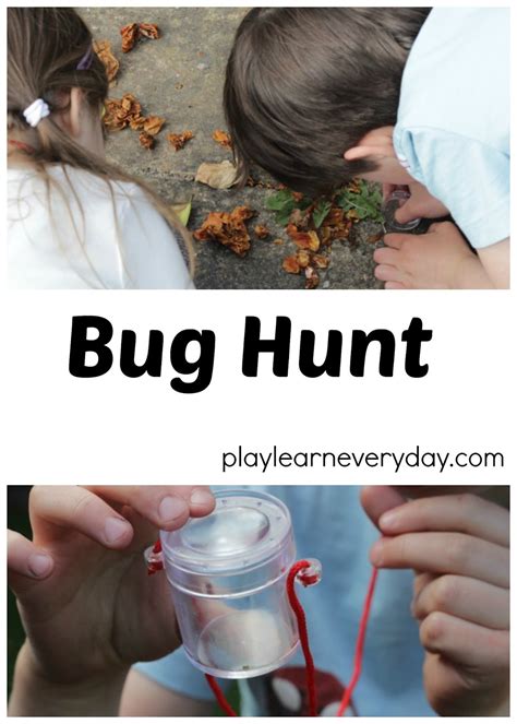 Bug Hunt - Play and Learn Every Day