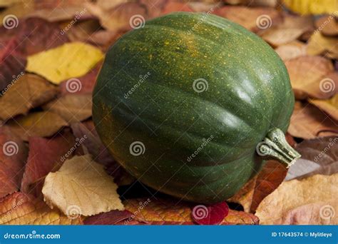 Acorn Squash on Leaves stock photo. Image of food, autumn - 17643574