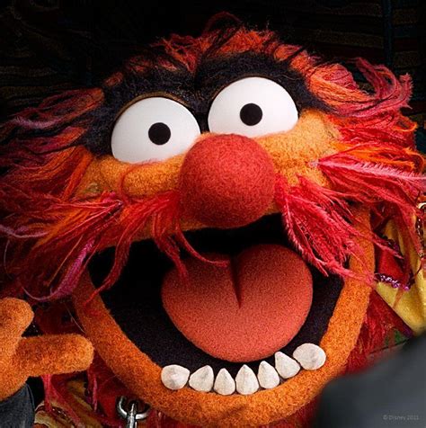 Animal Muppets Wallpapers - Wallpaper Cave