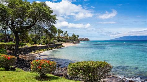 Resort Gallery - Kuleana Club Maui