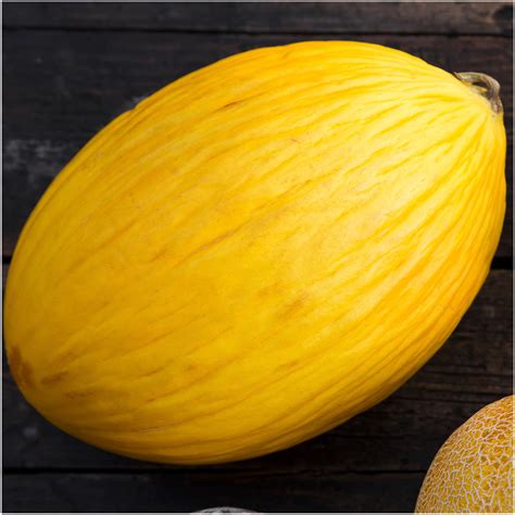 Canary Melon Seeds (Cucumis melo) – Seed Needs LLC