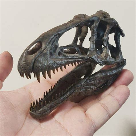 1/10 Acrocanthosaurus Skull Model – Lana Time Shop