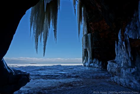 Northern Magic: Aurora Borealis & Apostle Islands Ice Caves | 365 Days of Birds