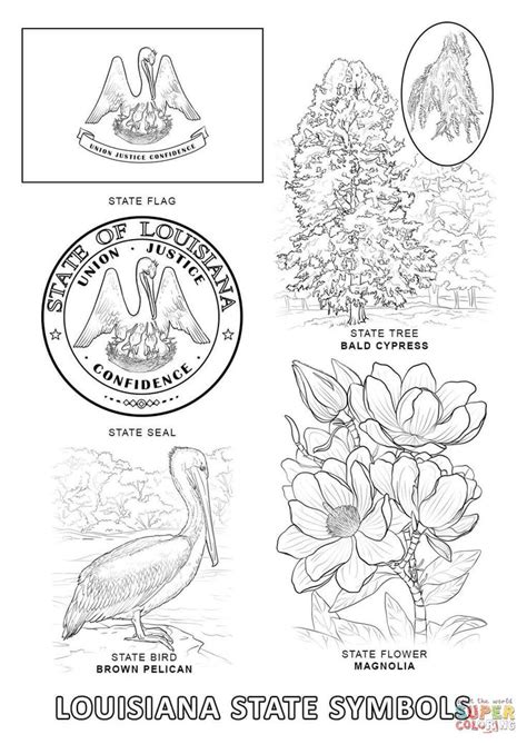 Louisiana State Symbols | Super Coloring | Flag coloring pages, State symbols, Flower coloring pages