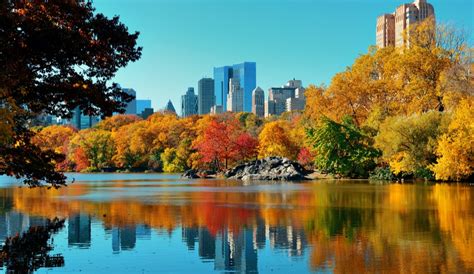 New York's Gorgeous Fall Foliage Is Expected To Peak Early This Year